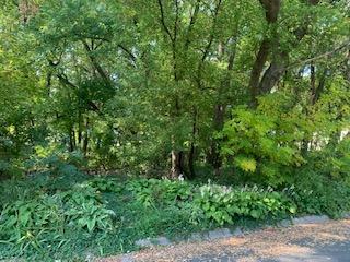 2445 Auburn Dr, Victoria, MN 55386