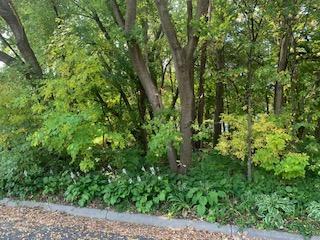2445 Auburn Dr, Victoria, MN 55386