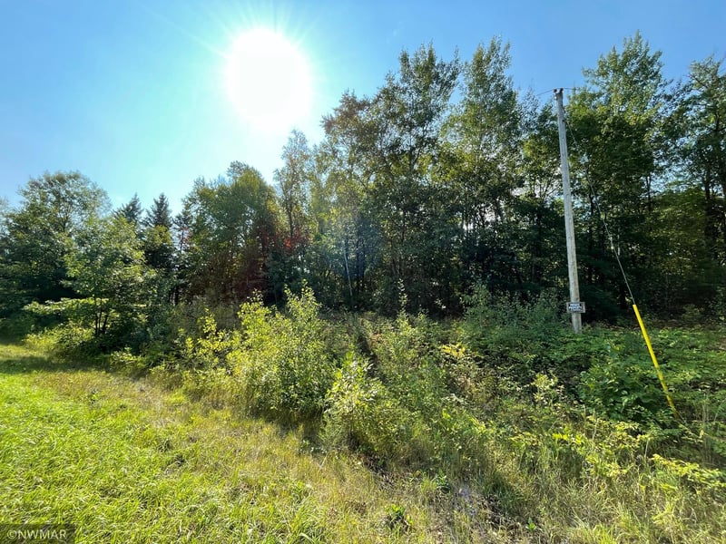 344xx Hubble Pond Rd, Rochert, MN 56578