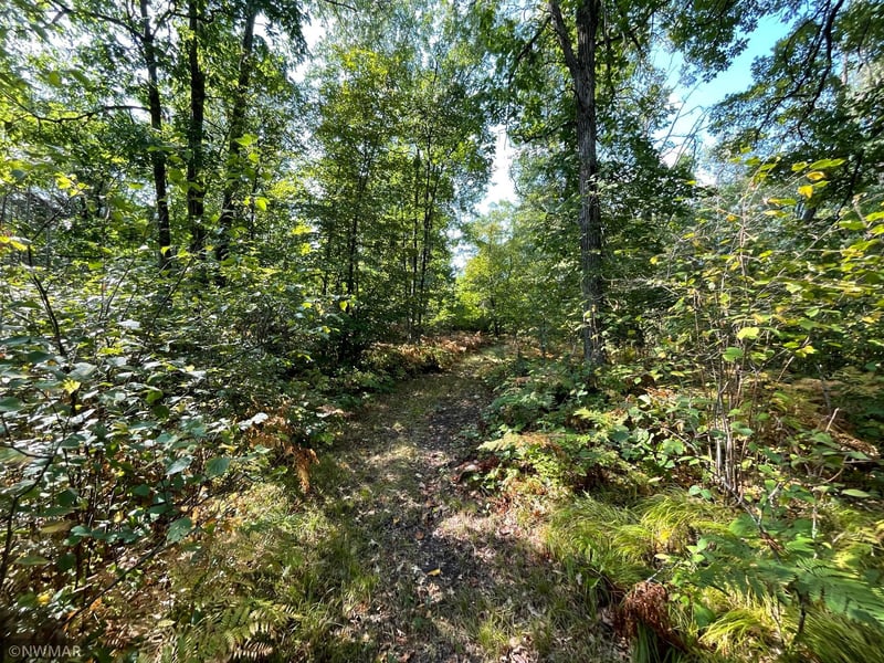 344xx Hubble Pond Rd, Rochert, MN 56578