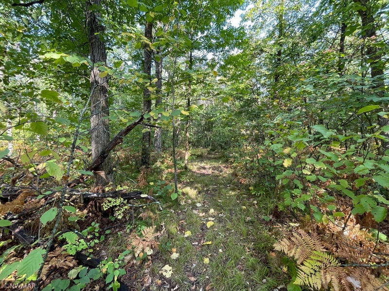 344xx Hubble Pond Rd, Rochert, MN 56578