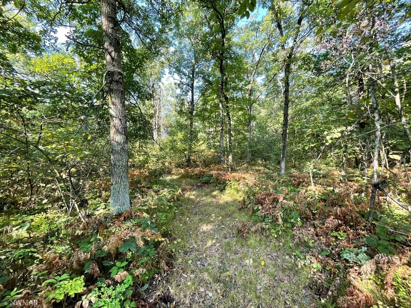 344xx Hubble Pond Rd, Rochert, MN 56578