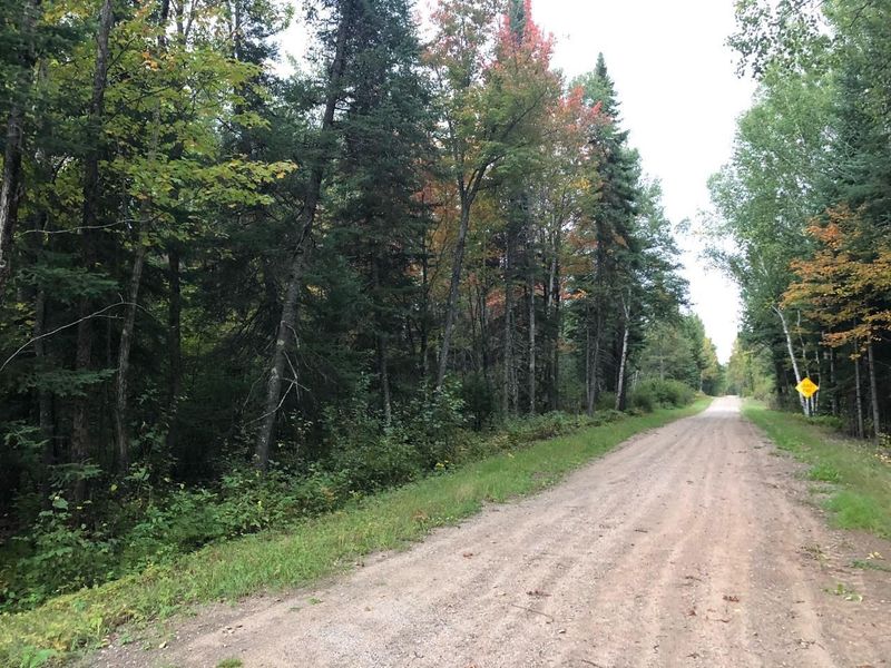 TBD Hwy 22, Angora, MN 55723
