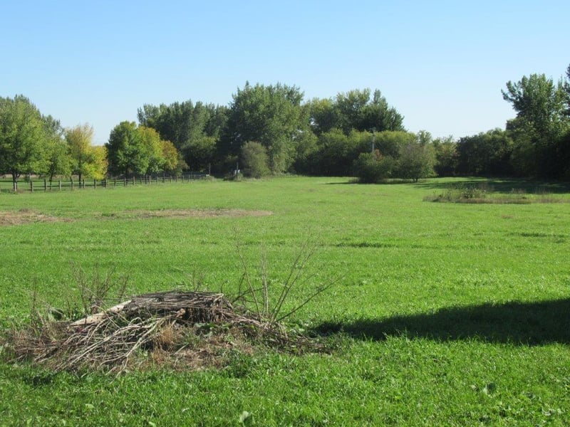 Lot 12 Church Ave, Hills, MN 56138
