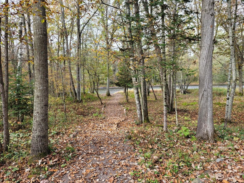 10100W W Morgan River Ln, Exeland, WI 54835