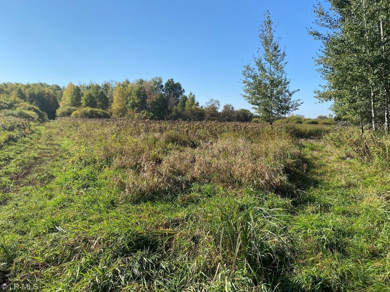 000 240th, Hewitt, MN 56453