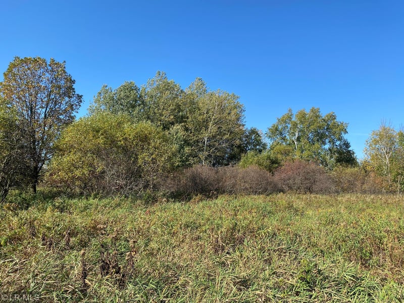 000 240th, Hewitt, MN 56453