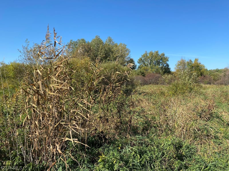 000 240th, Hewitt, MN 56453