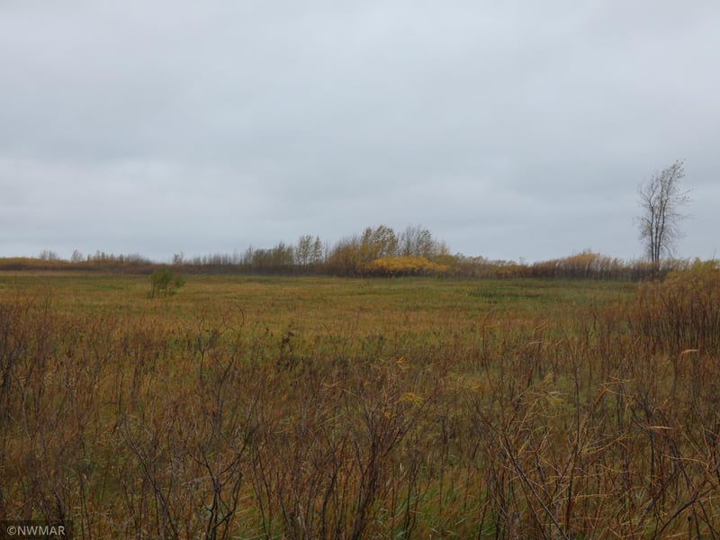 219 Highway, Goodridge, MN 56725