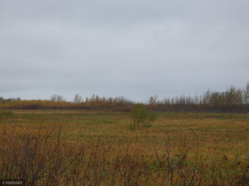 219 Highway, Goodridge, MN 56725
