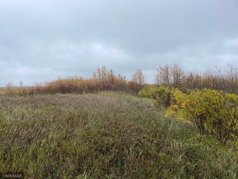 219 Highway, Goodridge, MN 56725