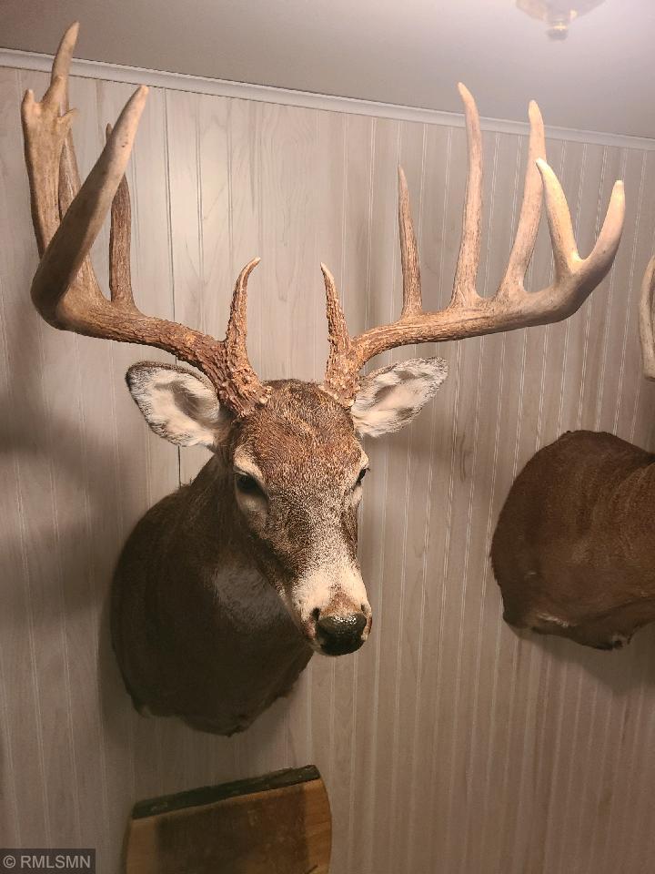 X Hwy 88, Alma, WI 54610