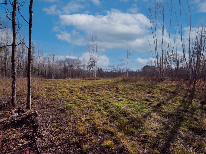 TBD Fire Trail Management, Gilbert, MN 55741