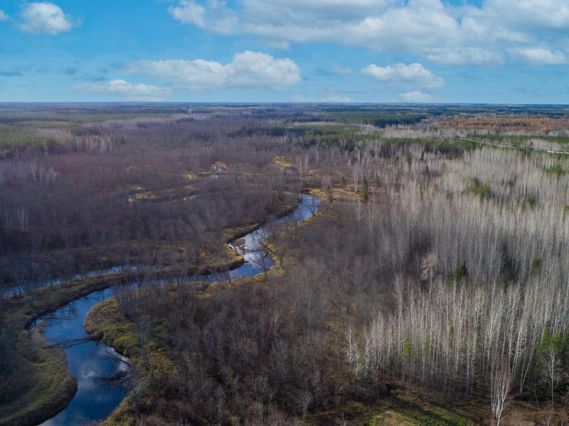 TBD Fire Trail Management, Gilbert, MN 55741