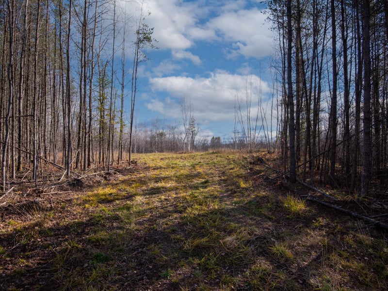 TBD Fire Trail Management, Gilbert, MN 55741