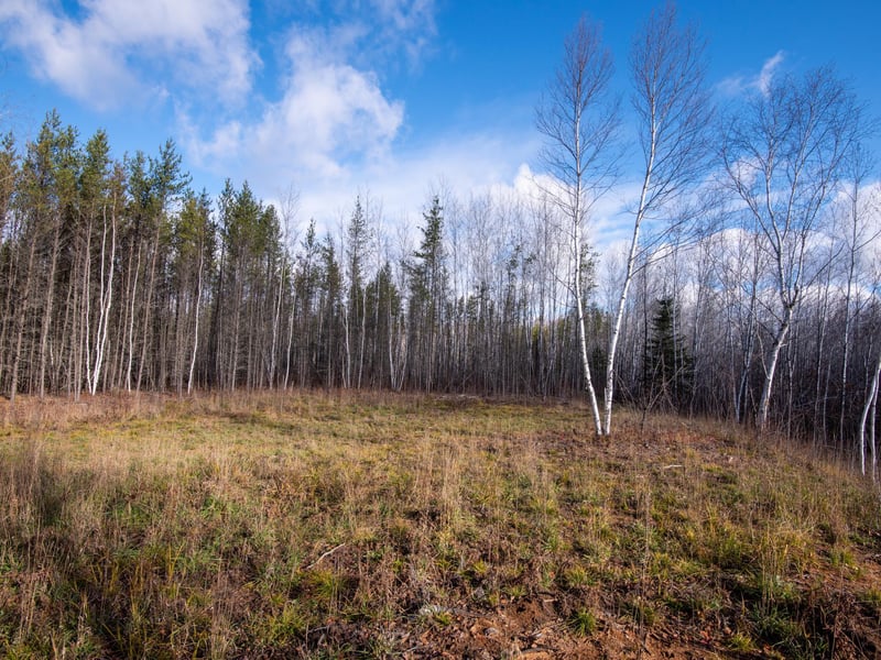 TBD Fire Trail Management, Gilbert, MN 55741