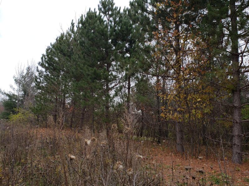 206 85th St, Clear Lake, WI 54005
