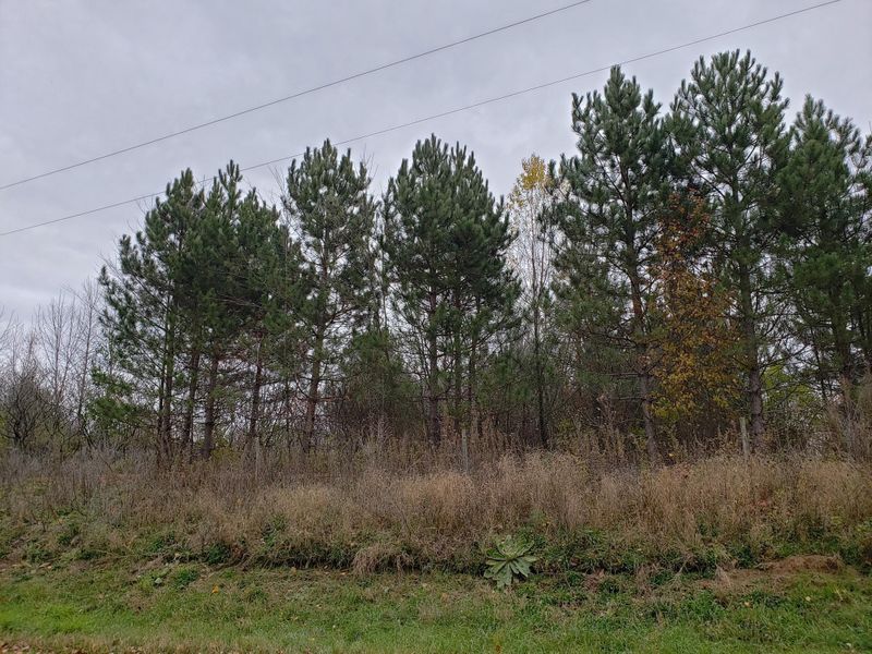 206 85th St, Clear Lake, WI 54005