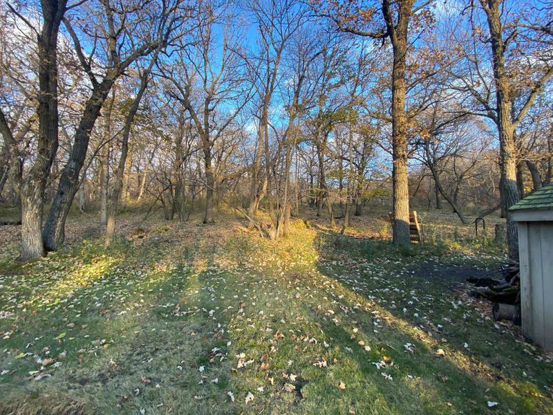 30319 Bonanza Rd, Beardsley, MN 56211