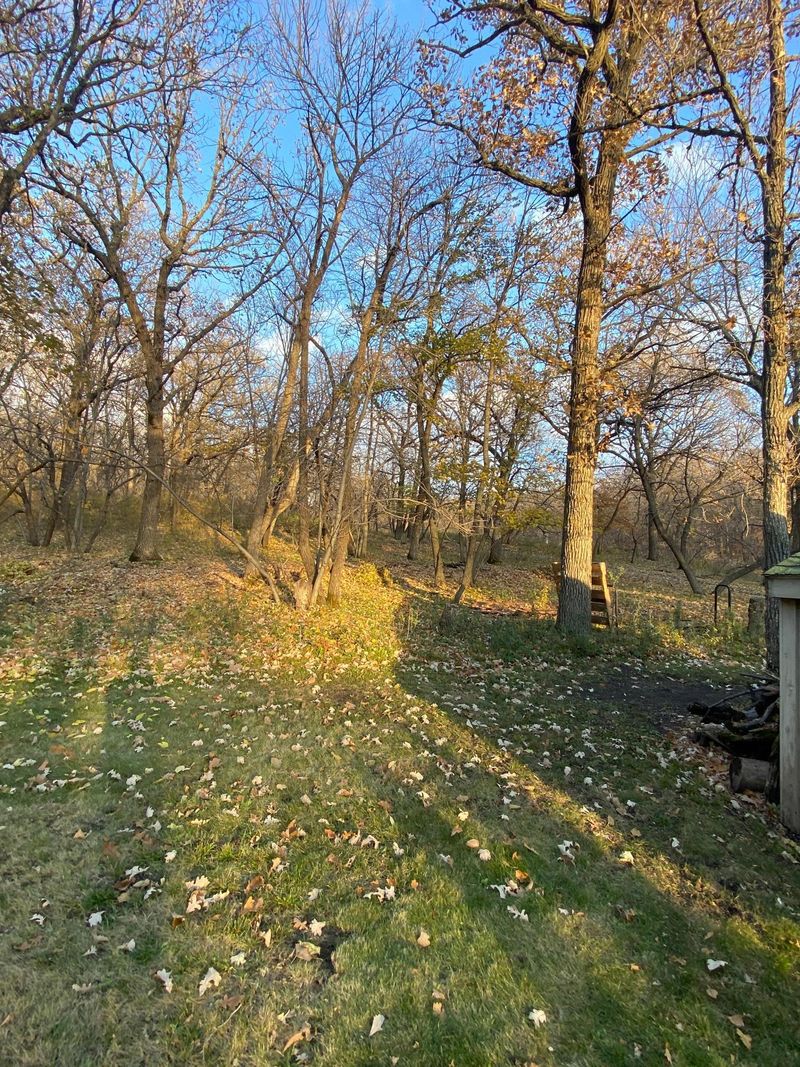 30319 Bonanza Rd, Beardsley, MN 56211
