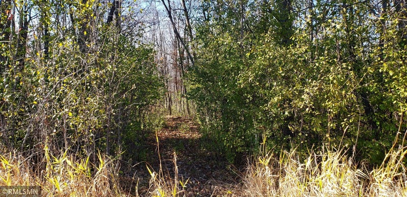 39XXX 30th Ave, Wahkon, MN 56386