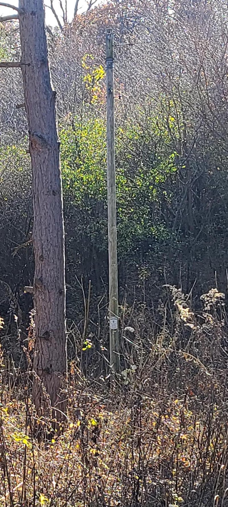Lot 0 11th St, Trempealeau, WI 54661