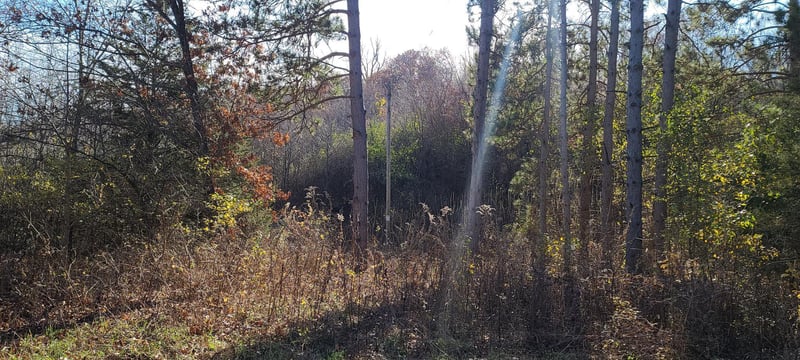 Lot 0 11th St, Trempealeau, WI 54661