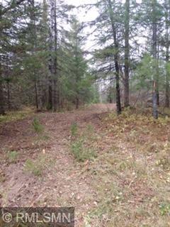 XXX Heath Rd, Winter, WI 54896