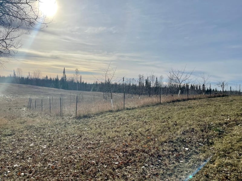 3006 County Road 144, Mahtowa, MN 55707