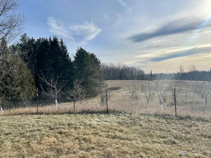 3006 County Road 144, Mahtowa, MN 55707