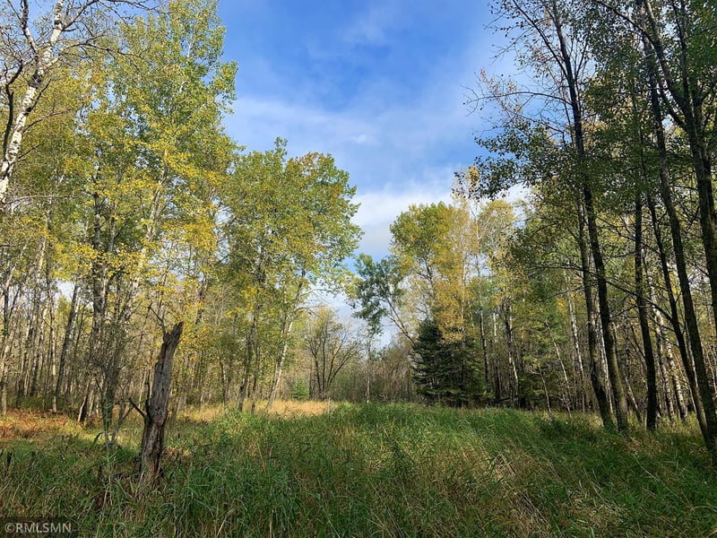 318X Boundry Rd, Mahtowa, MN 55707
