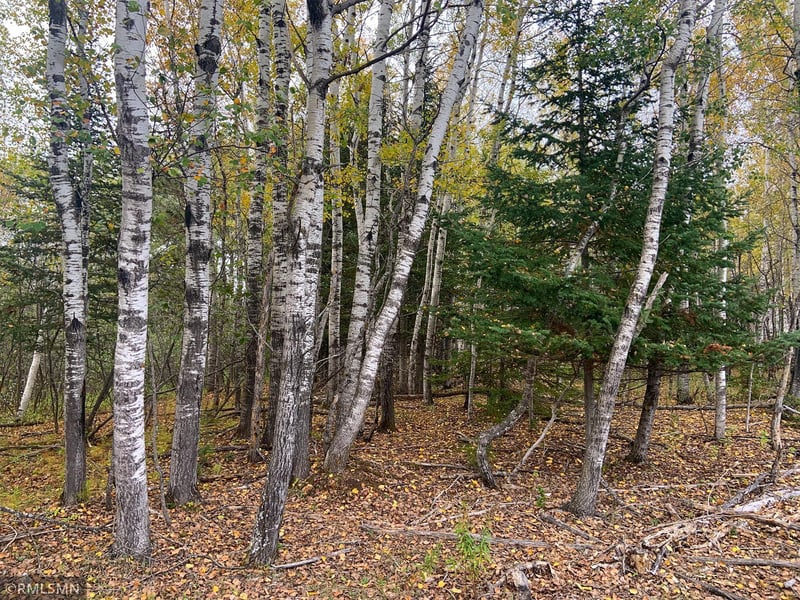 318X Boundry Rd, Mahtowa, MN 55707