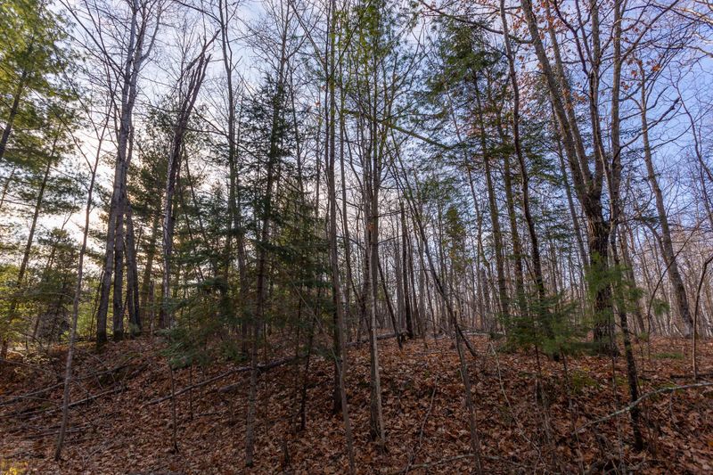 Tract 6 County Rd 5, Hackensack, MN 56452