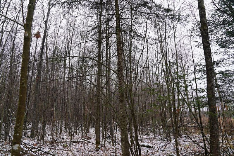 0 County Road B, Glen Flora, WI 54526