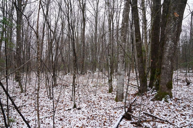 0 County Road B, Glen Flora, WI 54526