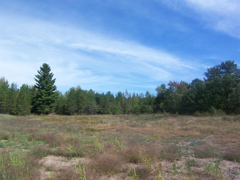 Lot 8 Ashtons Trl, Webster, WI 54893