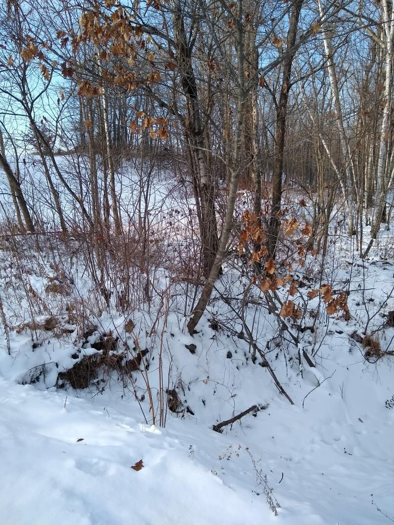 Lot 3 North Lake Dr, Mora, MN 55051
