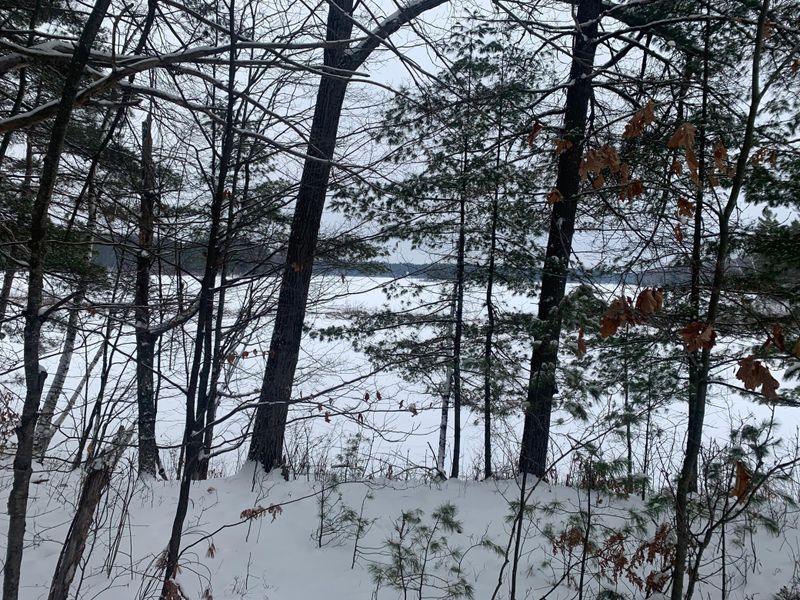 0 Pine Finch Ln, Hayward, WI 54843