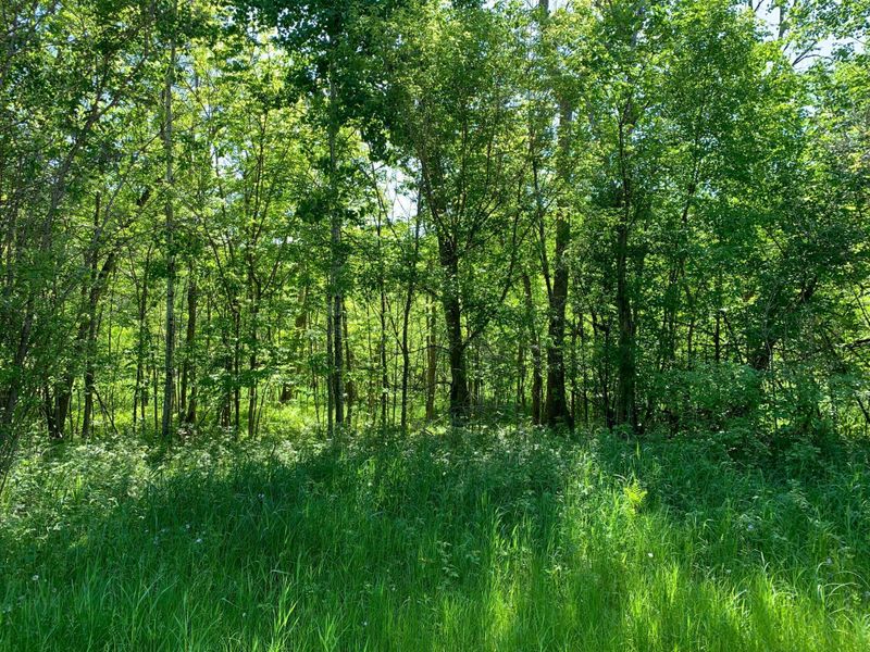L5 B1 Golden Pond Dr, Brainerd, MN 56401