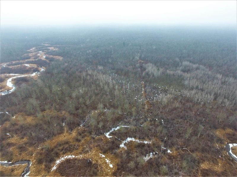 000 Blueberry Rd, Sheldon, WI 54766