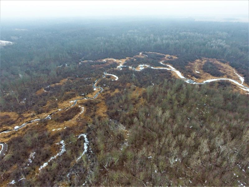 000 Blueberry Rd, Sheldon, WI 54766