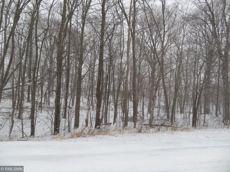 XXX County Road S, Plum City, WI 54761