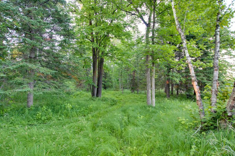 Lot A Gryce Styne Rd NE, Bemidji, MN 56601