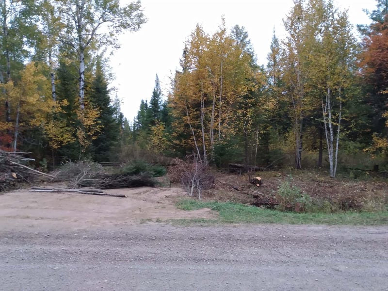 TBD Highway 29, Toivola, MN 55765