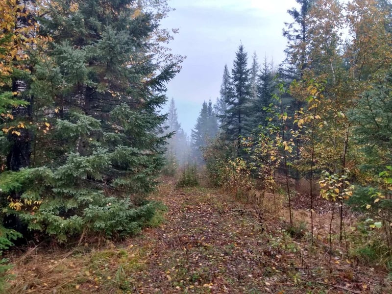 TBD Highway 29, Toivola, MN 55765