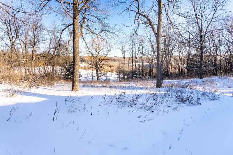 2320 Fox St, Orono, MN 55356