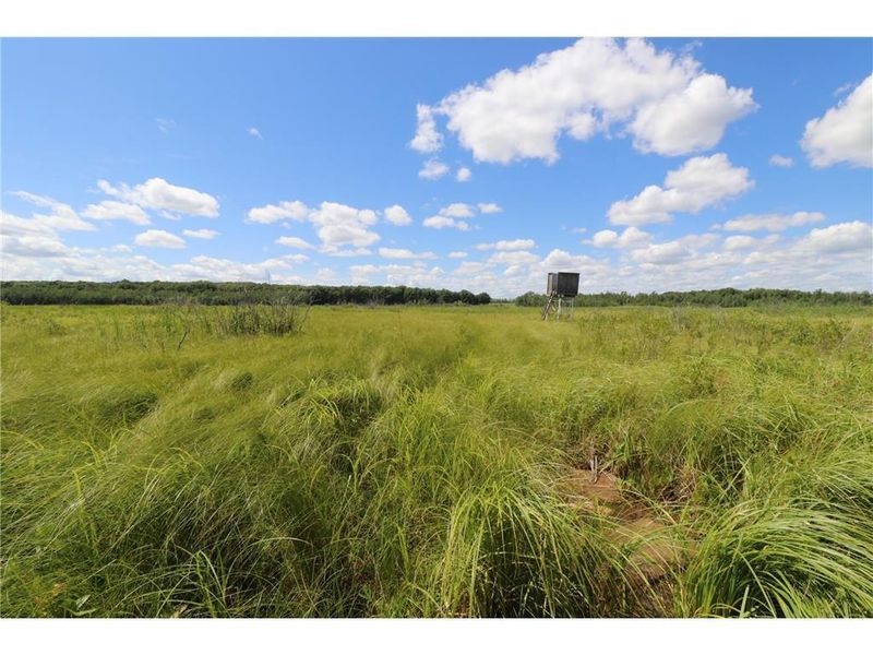 TBD 490th St, Staples, MN 56479