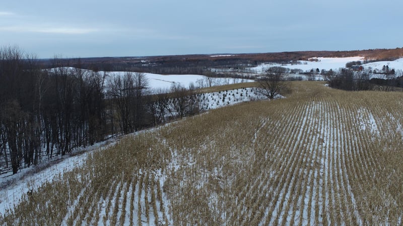 XX Hwy 93, Eleva, WI 54738
