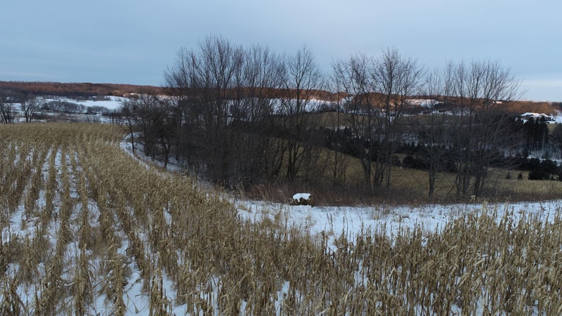 XX Hwy 93, Eleva, WI 54738