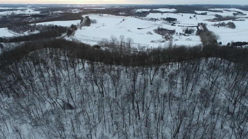 XXX Hwy 93, Eleva, WI 54738